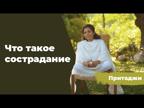 Что такое сострадание | Учение O&O Academy