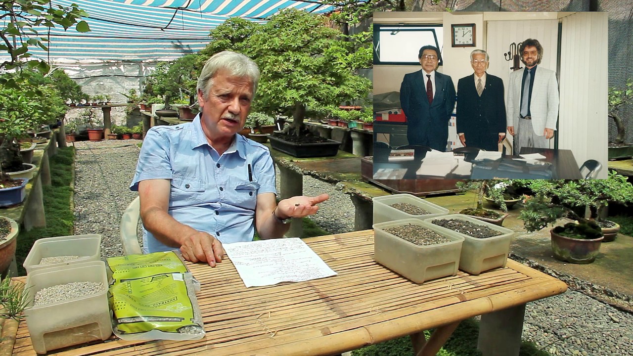 Sustratos para Bonsai - Akadama y Kiryuzuna para Latinoamérica