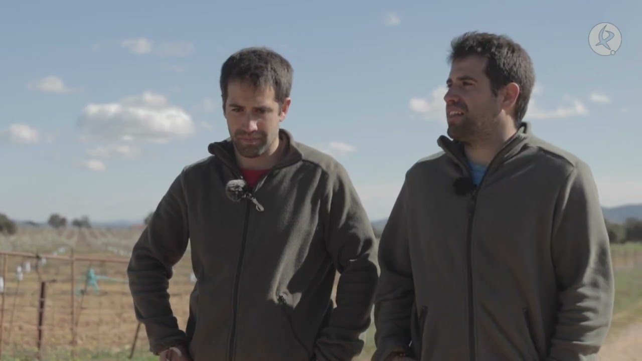 Antonio y Manuel intentan sin éxito tomar los mandos de la plantadora de olivos | El campo es vida
