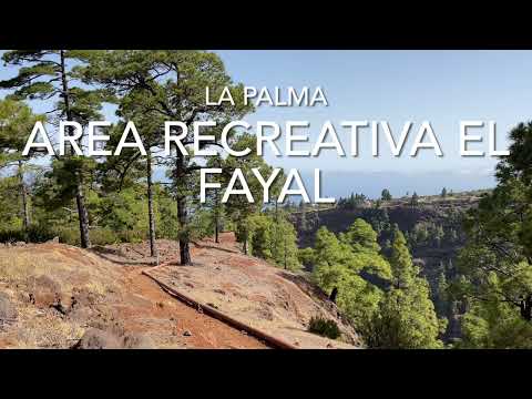 Area Recreativa El Fayal, Puntagorda, La Palma (4K)