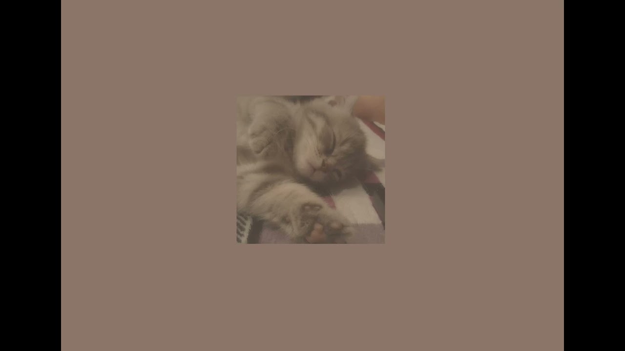 Mira you might be sleeping - jakob & clario sped up en YouTube Mira you might be sleeping - jakob & clario sped up en YouTube