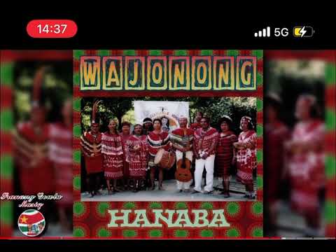 wajonong - koeribiero