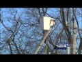 Tree trimmer dies in bucket truck accident in North Versailles