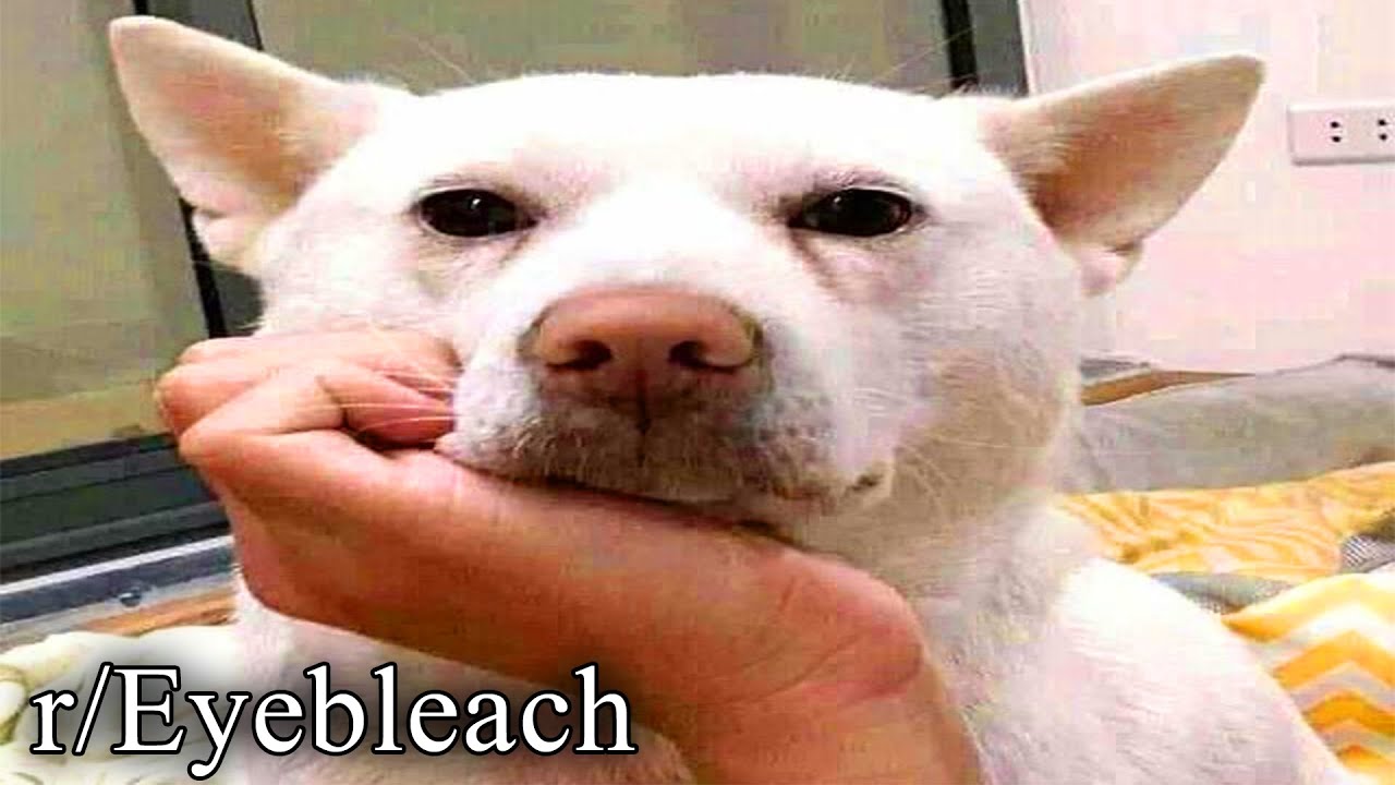 R Eyebleach Hey Girl Aha Youtube