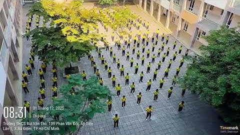 Đồng diễn võ nhạc Vovinam