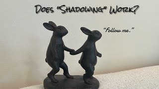 Master Any Language with the Shadowing Technique