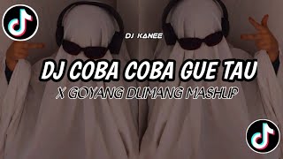 DJ COBA COBA GUE TAU X GOYANG DUMANG MASHUP📍yang fyp di tiktok 2022