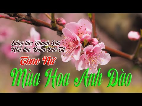 karaoke Mùa Hoa Anh Đào |tone Nữ|