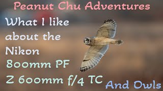 What I like about the Nikon 800mmPF and Z600mm TC with short eared owl footage. What I like about the Nikon 800mmPF and Z600mm TC with short eared owl footage.