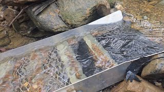 Murray Rivers Gold Adventures is live