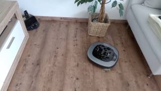 Vernee Mars Camera Sample