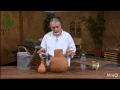 Watering with ollas|John Dromgoole|Central Texas Gardener