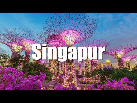 Vídeo: Què Veure A Singapur
