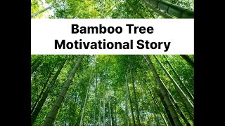 Bamboo Tree: A Tale of Patience and Perseverance