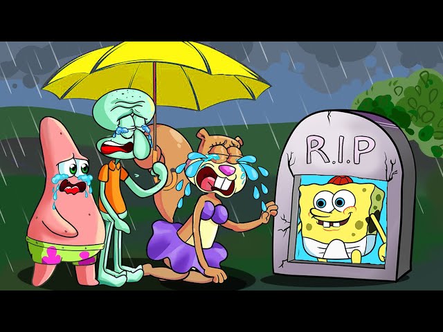 No Way!! Spongebob please come back!! We miss you..!! Sad Story Spongebob life Animation SD