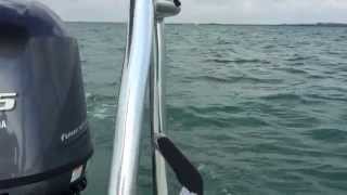IMG 5862