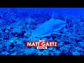 Are Drug Cartels Exploiting the Shark Fin Trade?