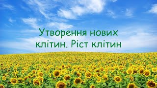 картинка: Утворення нових клітин. Ріст клітин