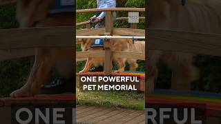 Memorial garden honors dog killed in political assassination #shorts