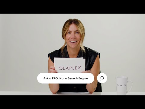 Ask a Pro - Not a Search Engine with OLAPLEX