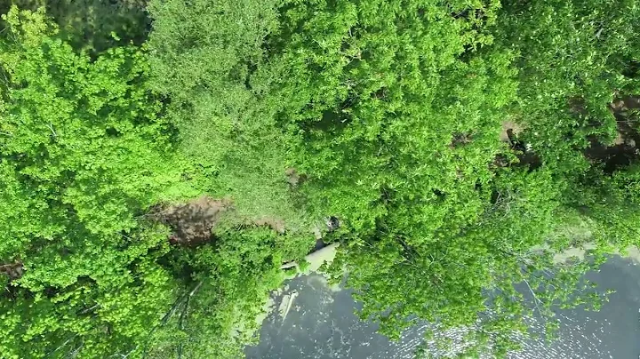 Six Lakes aerial tour