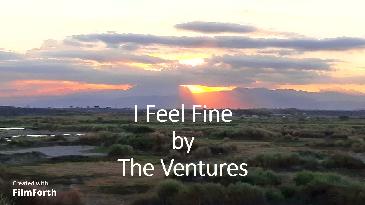 The Ventures - I Feel Fine