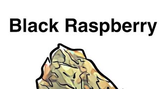 STRAIN REVIEW | Black Raspberry