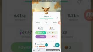 Eevee evolves into espeon Net Worth