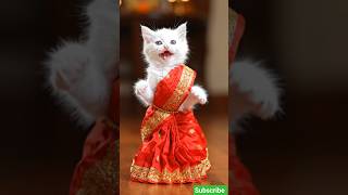Heart-touching Cute Kitten Dance 🐾🐾#shorts #kittenrescue #animalrescue#kittenrevenge
