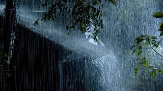 Goodbye Stress to Sleep Instantly with Heavy Rain on Tin Roof & Powerful Thunder Sounds at Night