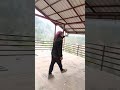 baba barfani new video #shorts ari
