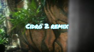 DJ CIDRO 2 (SLOW REMIX FULL BASS 2021)