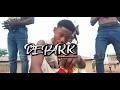 Deepark  hustle ft young ceeoficial