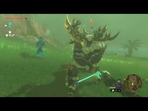 Just Wanted the Hylian Rice