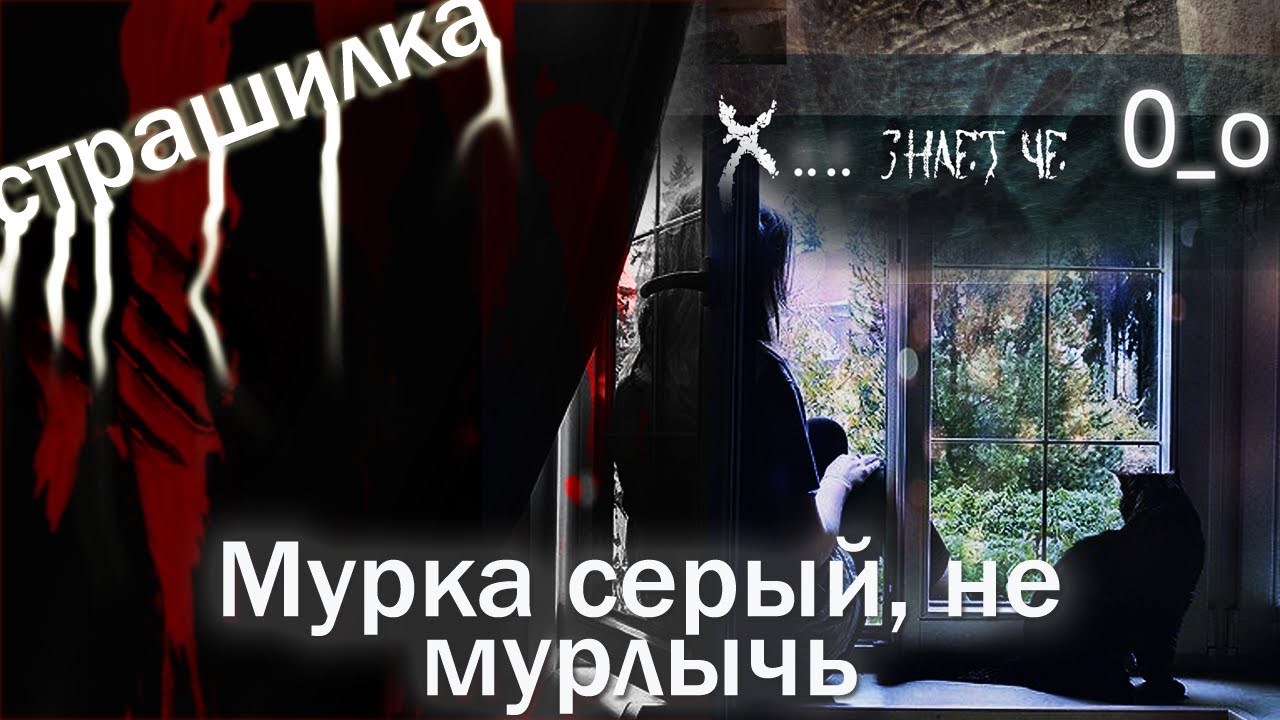 Включи машины истории страшилки