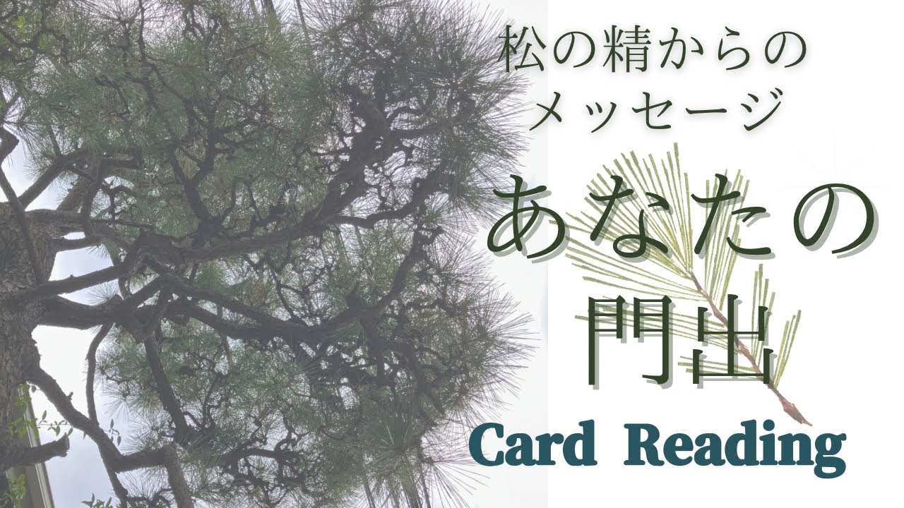 【3択】松の精からのメッセージ🌲あなたの門出✨新しい年へ向けて🕊️