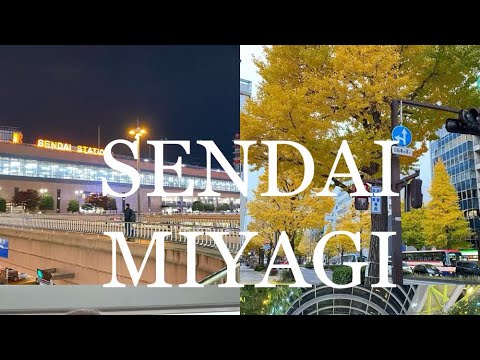 [MIYAGI] Tập 2: Thành phố Sendai- #phượngphạmvlog #sendai