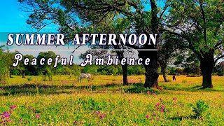 🌿🌞 Healing Forest Ambience On A Summer Afternoon 🌿🌷 Deep Healing Nature Meditation For Body & Soul