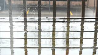 Rain on bench - No Copyright and Royalty Free Video