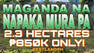 SOLD #057 FARM LOT FOR SALE | SUPER GANDA AT NAPAKA MURANG FARM LOT