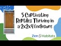 5 Captivating Reptiles Thriving in a 2x2x4 Enclosure