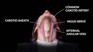 How to Perform An Emergent Cricothyrotomy: Emergency Medicine -- Your Design Medical