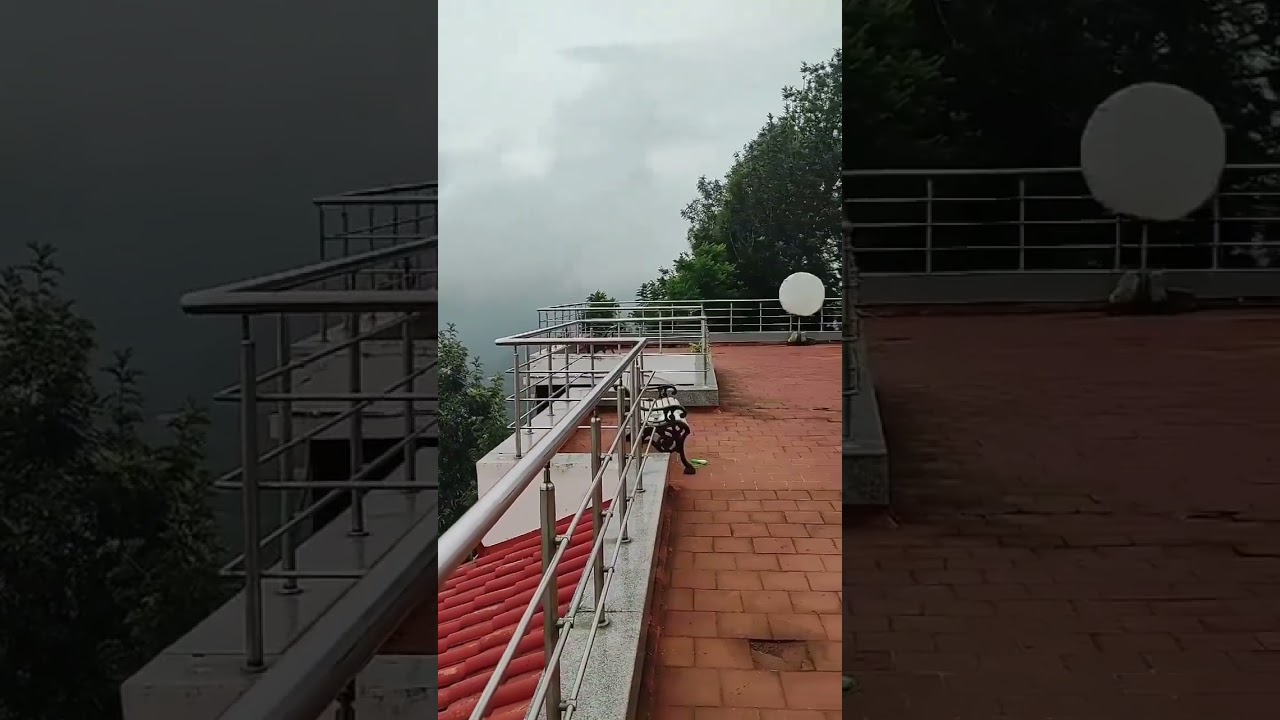 beautiful view of nature || Grand Palace Hotel and Spa - Yercaud