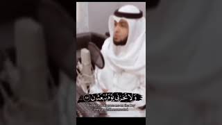 القارئ احمد النفيس 