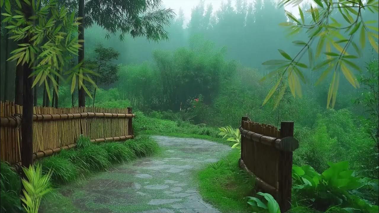 Listen to the rain on the forest path, relax, reduce anxiety, and sleep deeply:rain sounds for sleep Listen to the rain on the forest path, relax, reduce anxiety, and sleep deeply:rain sounds for sleep