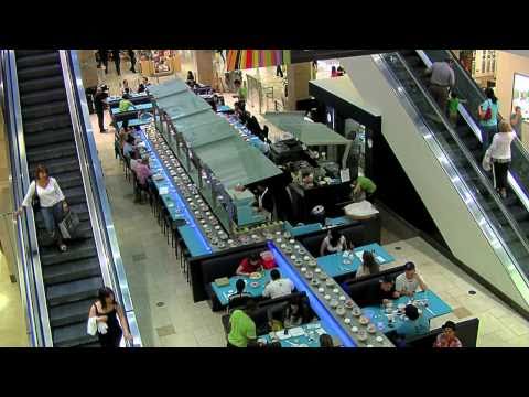 WASABI SUSHI TYSONS CORNER CENTER VA VIRGINIA