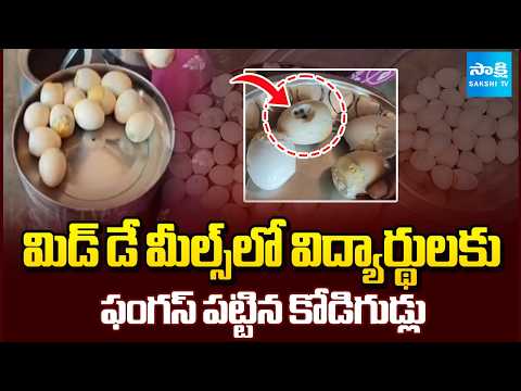 Fungus Eggs To Hostel Students In Mid-Day Meals | Devipatnam | Polavaram | @SakshiTV - SAKSHITV
