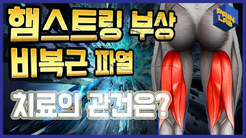 햄스트링 부상! 비복근 파열! 치료의 관건은???? - 페인랩이 말하는 통증 이야기