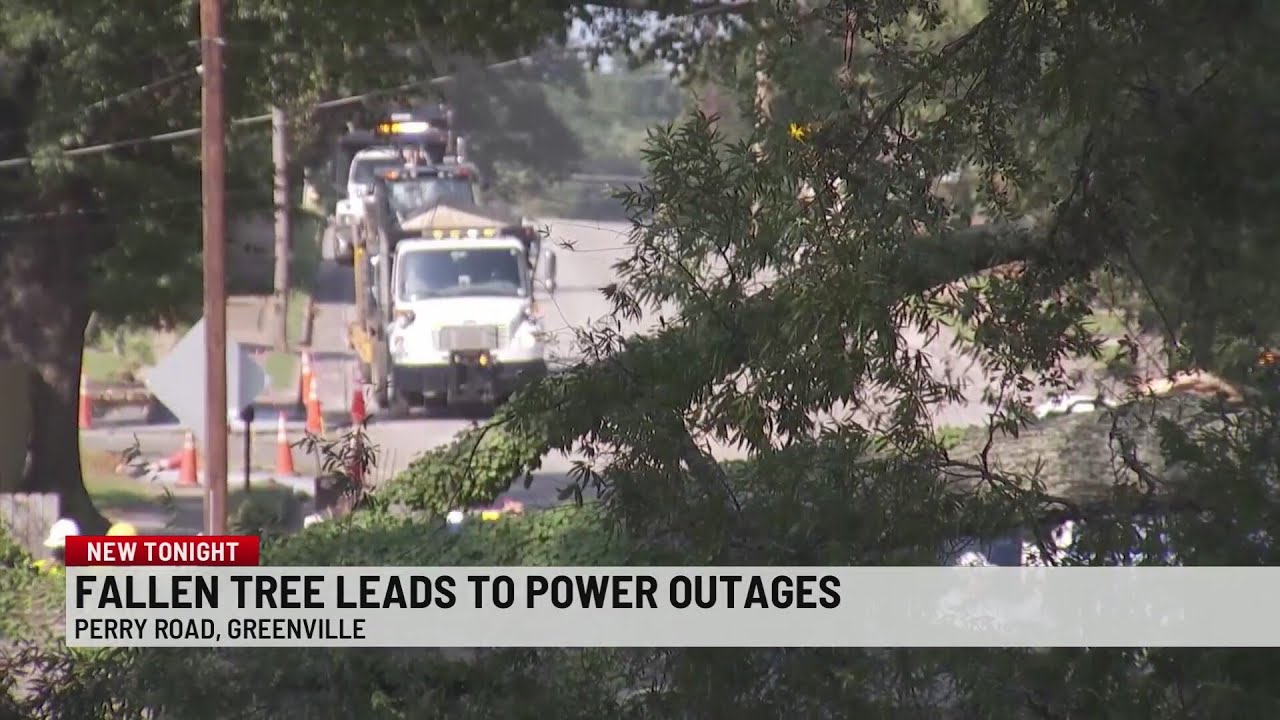Large tree knocks out power in Greenville - YouTube