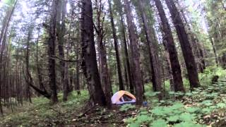 Camping in Alaska